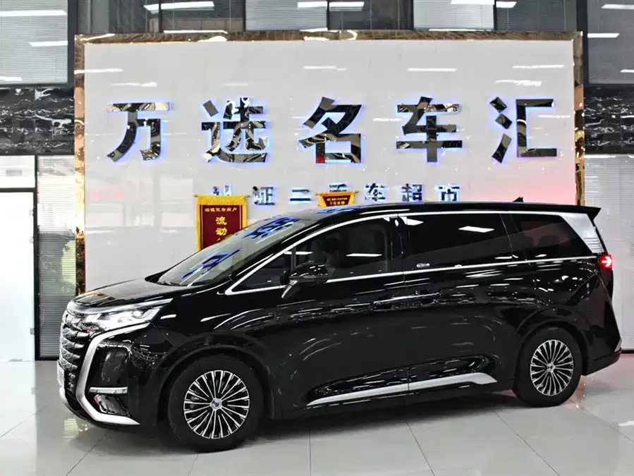 BYD D9 2024