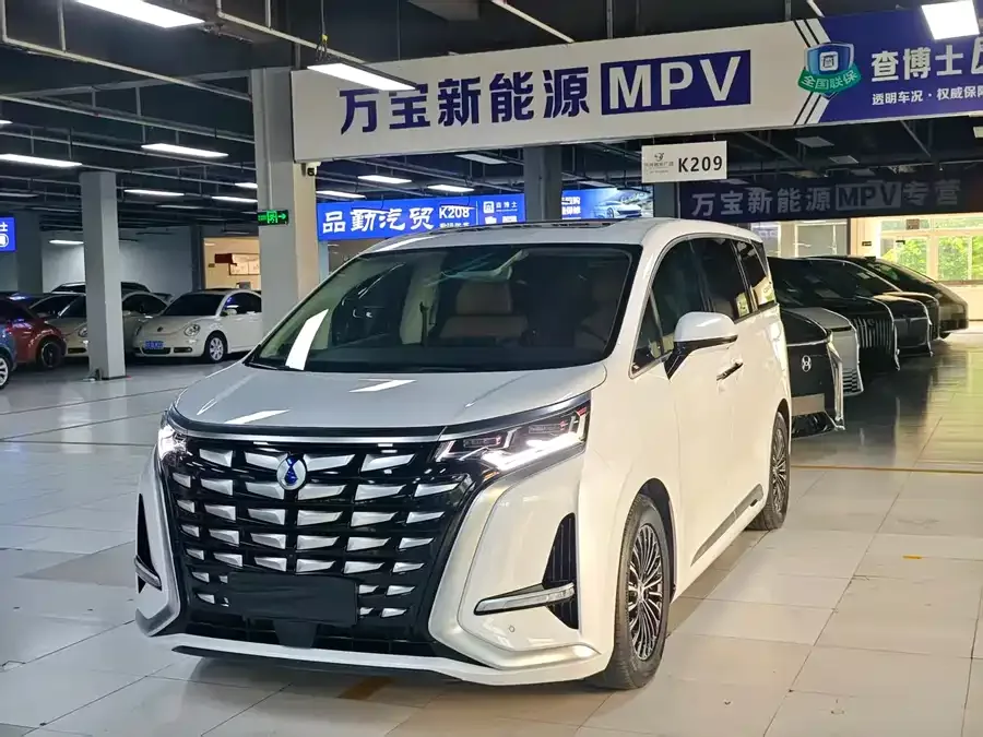 BYD D9 2024