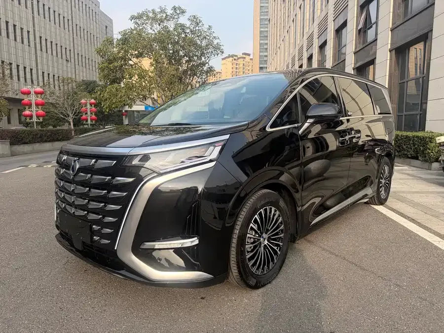 BYD D9 2024