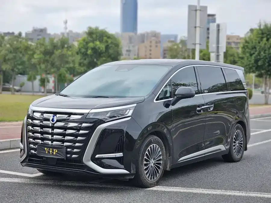 BYD D9 2024