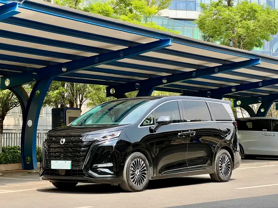 BYD D9 2024