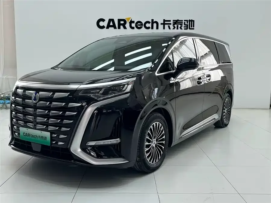 BYD D9 2024