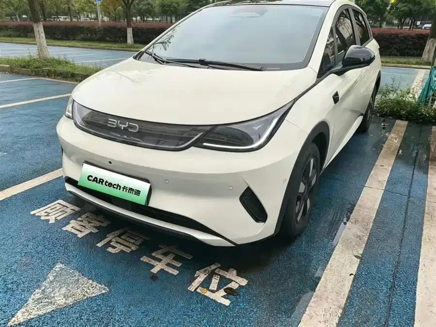 BYD Dolphin Dolphin 2025 Smart Driving Edition 410km Fashion Edition 2025 — фото 1, купить с доставкой в Москву