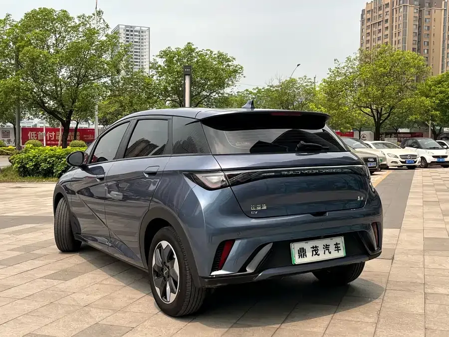 BYD Dolphin Dolphin 2025 Smart Driving Edition 420km Free Edition 2025 — миниатюра 3