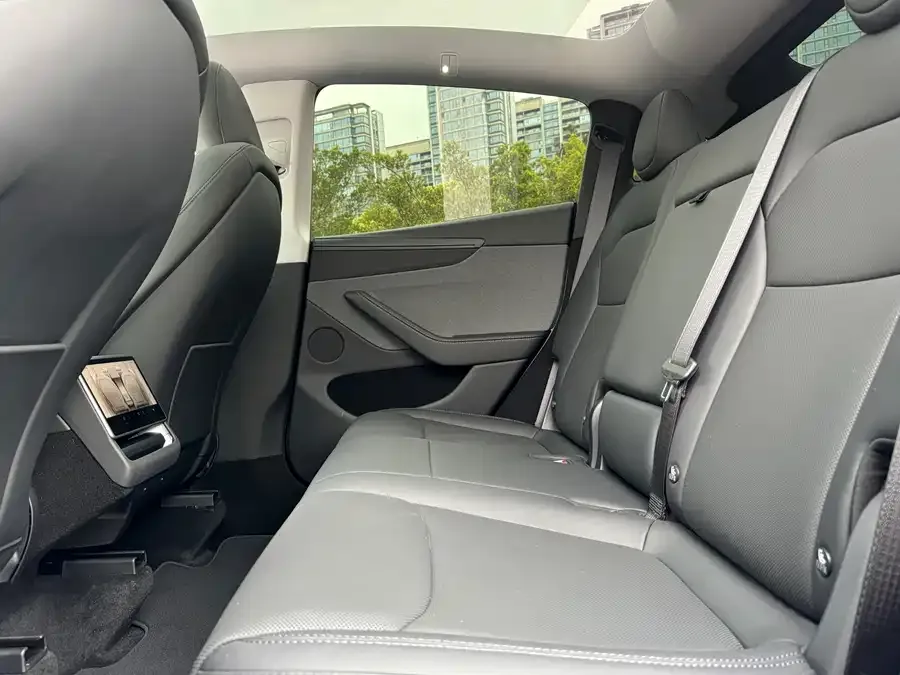 Tesla Model Y Model Y 2025 rear-wheel drive version 2025 — миниатюра 4