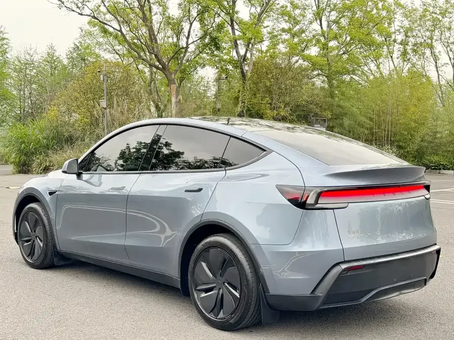 Tesla Model Y Model Y 2025 rear-wheel drive version 2025 — миниатюра 5