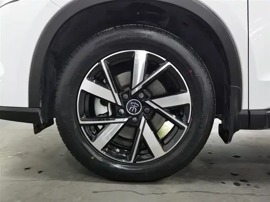 BYD Song Pro New Energy Song Pro New Energy 2023 Champion Edition DM-i 71KM Leading Edition 2024 — миниатюра 5