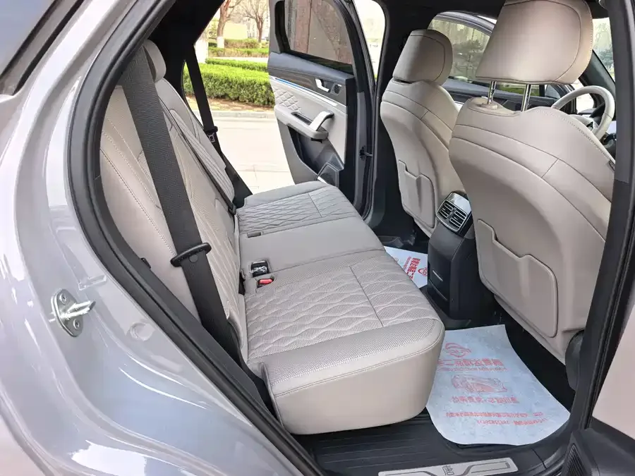 BYD Tang New Energy Tang New Energy 2025 DM-i 115KM Premium Edition 2025 — миниатюра 3