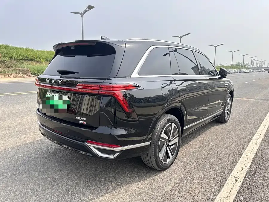 WEY Blue Mountains Wei Brand Blue Mountain 2025 4WD Max 2025 — миниатюра 4