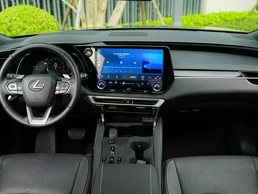Lexus RX 2025 300 4WD Junxiang Edition 2025 — миниатюра 5