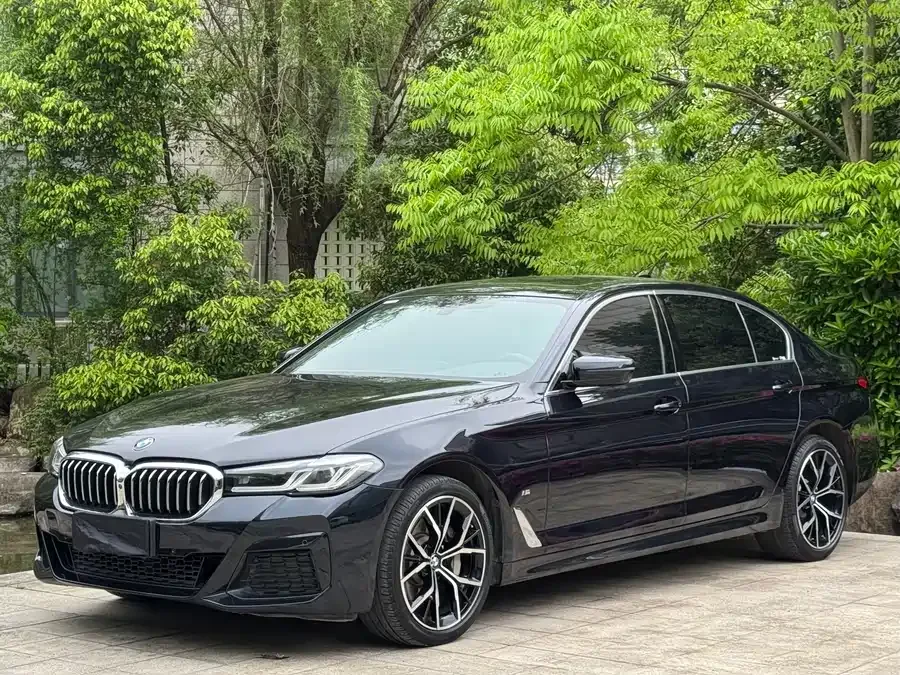BMW 5 Series BMW 5 Series 2022 facelift 3 530Li Exclusive M Sport Package 2023 — фото 1, купить с доставкой в Москву
