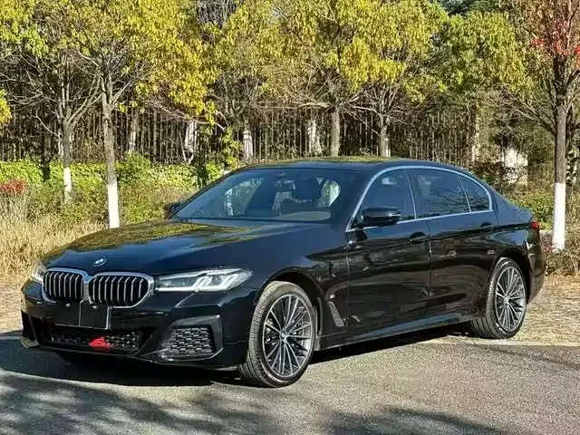 BMW 5 Series BMW 5 Series 2022 530Li Leading Luxury Package 2022 — фото 1, купить с доставкой в Москву