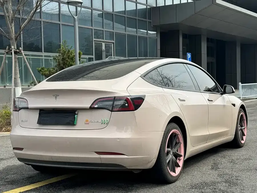 Tesla Model 3 Model 3 2022 rear-wheel drive version 2022 — миниатюра 4
