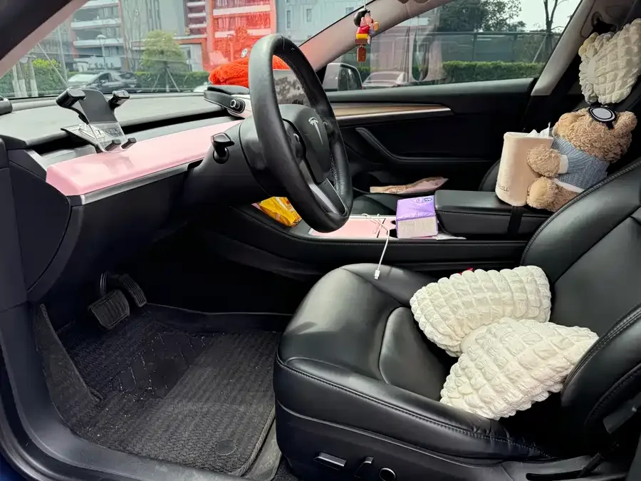 Tesla Model 3 Model 3 2022 rear-wheel drive version 2022 — миниатюра 5