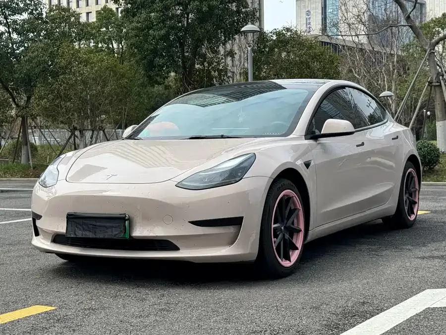 Tesla Model 3 2022