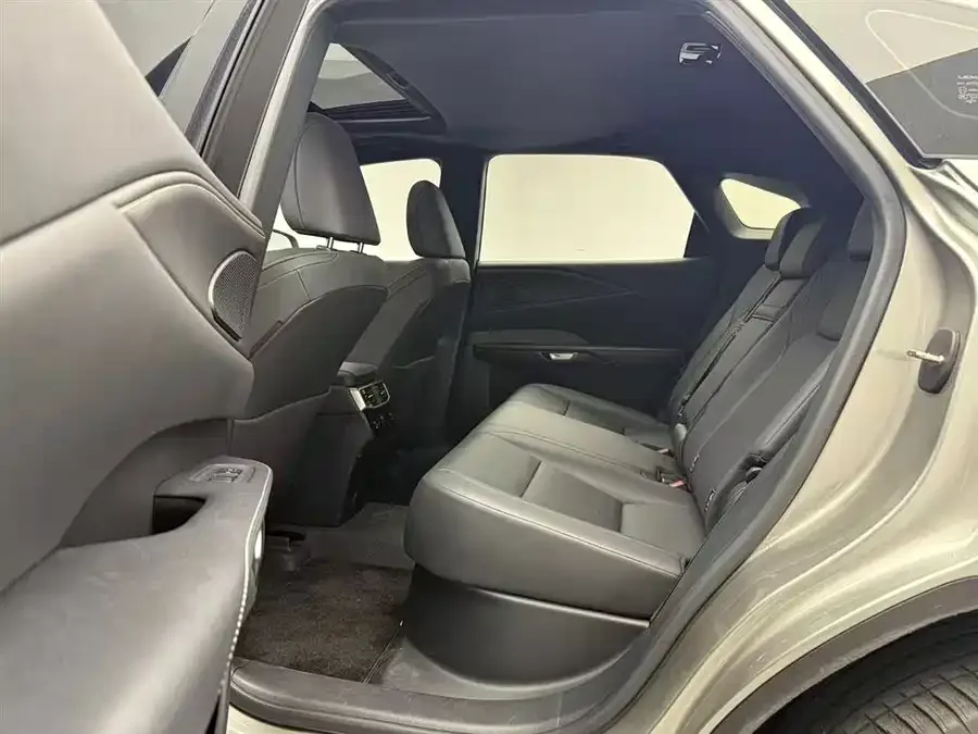 Lexus RX 2025 300 4WD Junxiang Edition 2024 — миниатюра 3