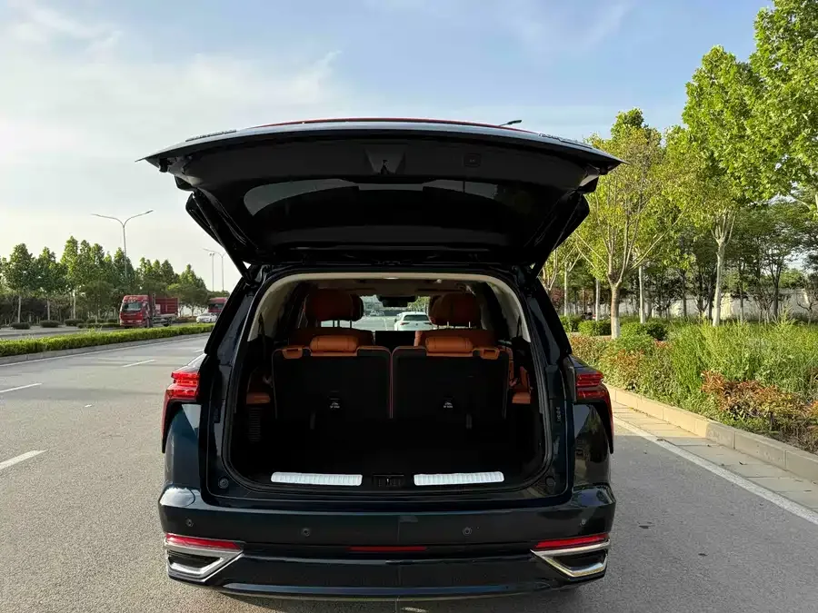 WEY Blue Mountains Wei Brand Blue Mountain 2025 4WD Max 2024 — миниатюра 3