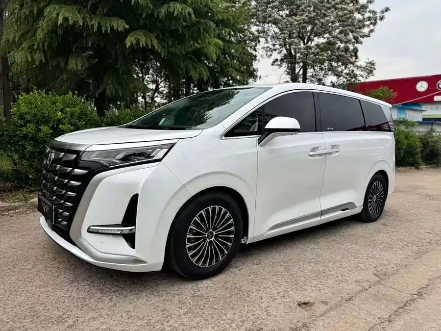BYD D9 DENZA D9 2024 DM-i 970 Luxury Edition 2024 — фото 1, купить с доставкой в Москву