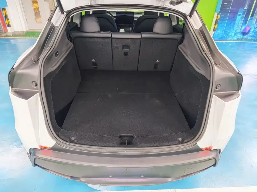 Tesla Model Y Model Y 2025 rear-wheel drive version 2025 — миниатюра 2