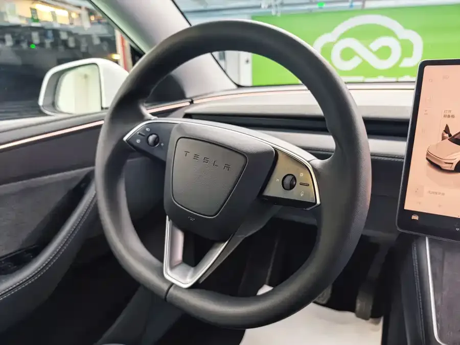 Tesla Model Y Model Y 2025 rear-wheel drive version 2025 — миниатюра 3