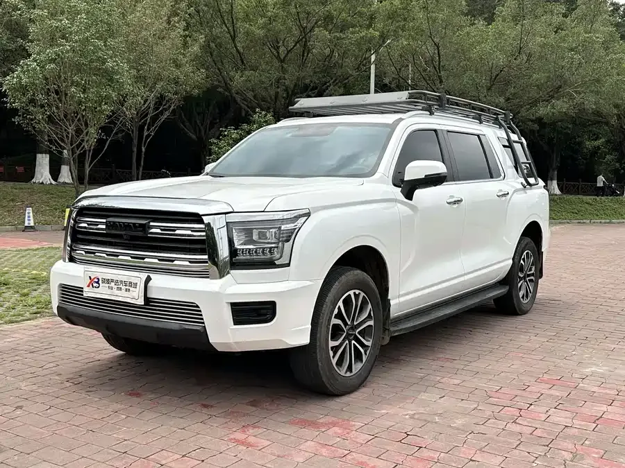 Haval H5 Haval H5 2023 2.0T Automatic 4WD LinkedIn Gasoline 2024 — фото 1, купить с доставкой в Москву