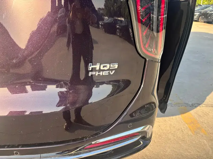 Hongqi HQ9 PHEV Hongqi HQ9 PHEV 2024 2.0T 4WD Luxury Edition 2024 — миниатюра 4