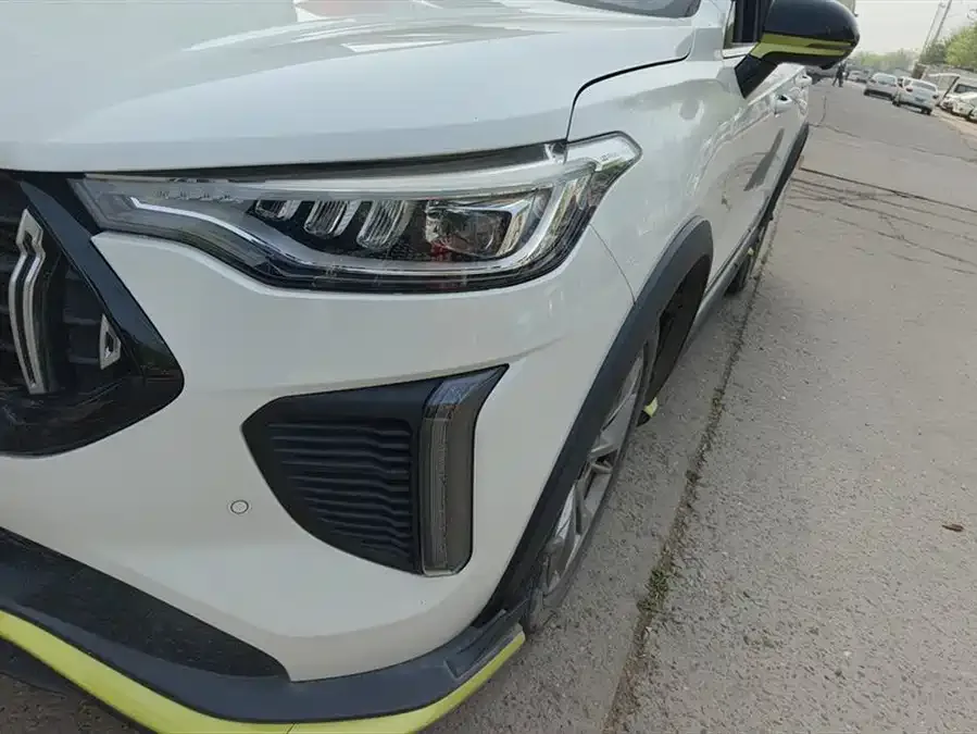 Haval Chitu (Red Rabbit) Haval Chitu 2022 Jinxiang Edition 1.5T Bronze Rabbit 2022 — миниатюра 5