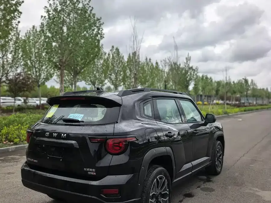 Haval Big Dog PLUS New Energy Haval Big Dog PLUS New Energy 2026 Hi4 150km Trendy Electric Edition 2026 — миниатюра 3