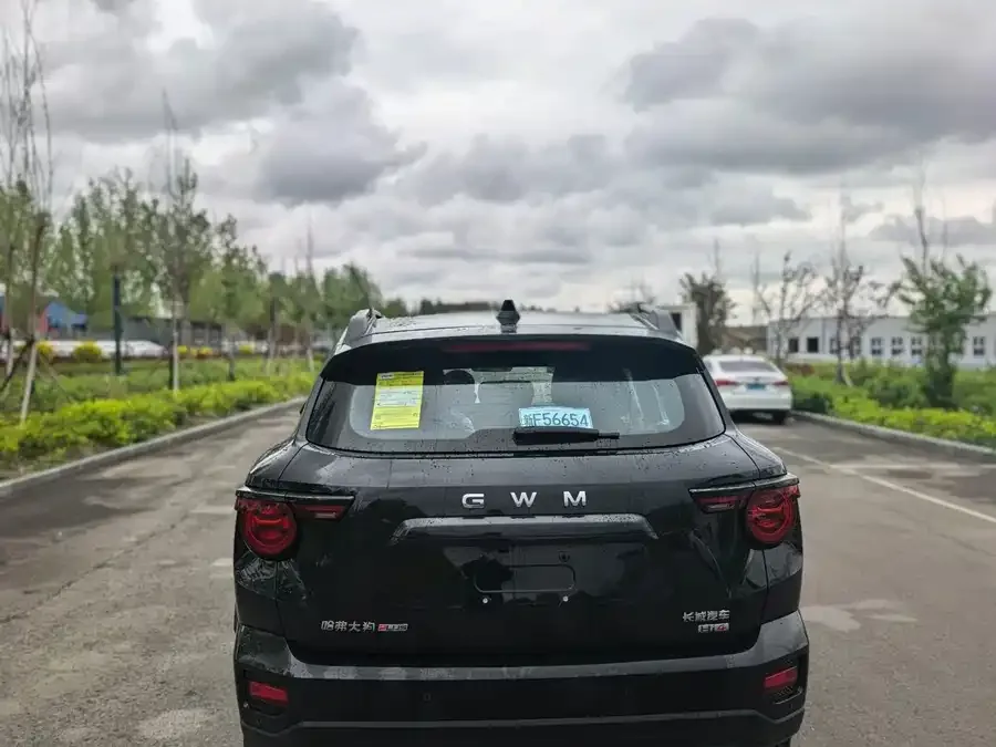 Haval Big Dog PLUS New Energy Haval Big Dog PLUS New Energy 2026 Hi4 150km Trendy Electric Edition 2026 — миниатюра 5