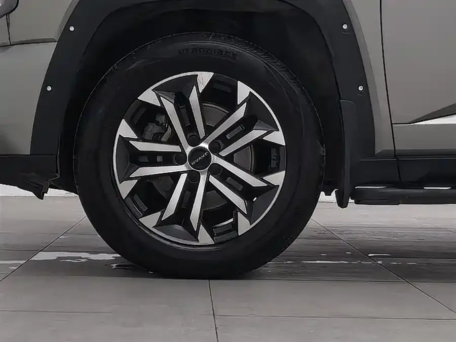 Haval Big Dog PLUS Haval Big Dog PLUS 2023 2.0T 4WD Trendy Plus 2023 — миниатюра 5