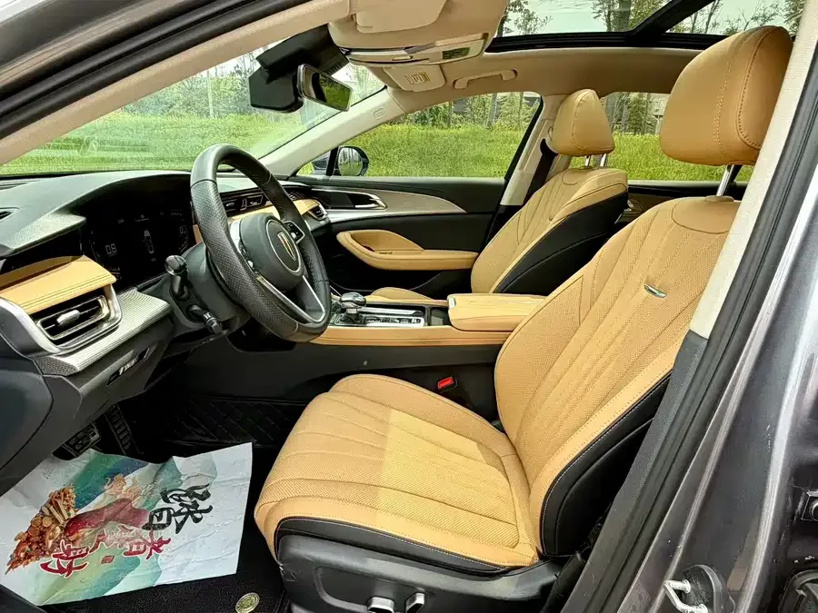 Hongqi H5 Hongqi H5 2023 2.0T Automatic Intelligent Connected Flag Edition 2022 — миниатюра 4