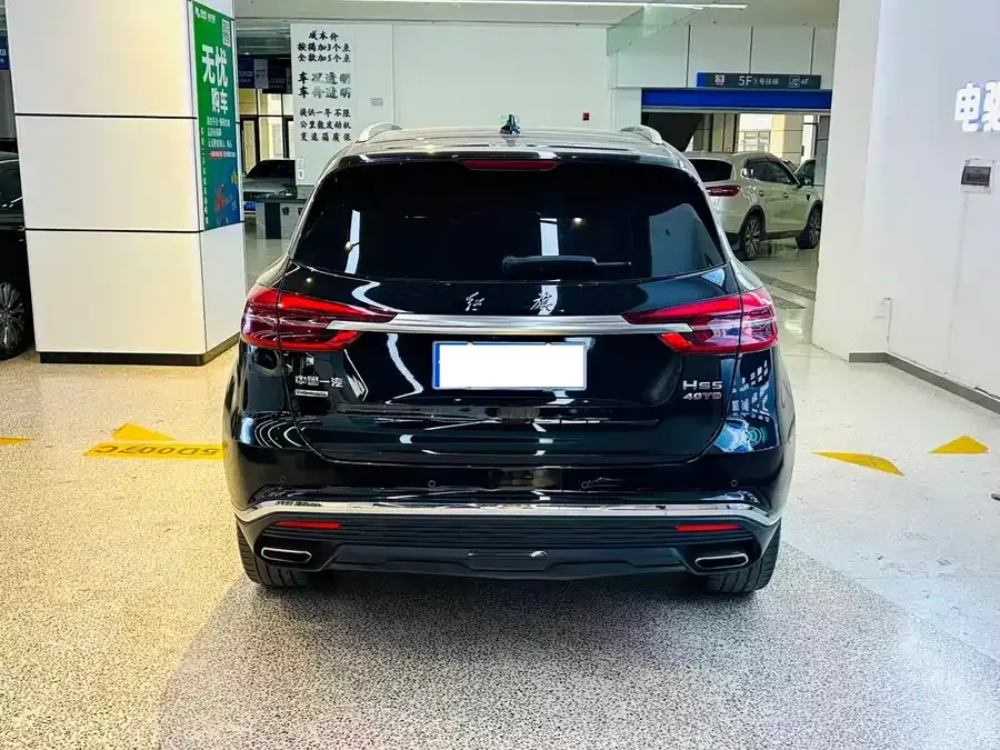 Hongqi HS5 Hongqi HS5 2022 2.0T Zhilian Qixiang 4WD Edition 2023 — миниатюра 4