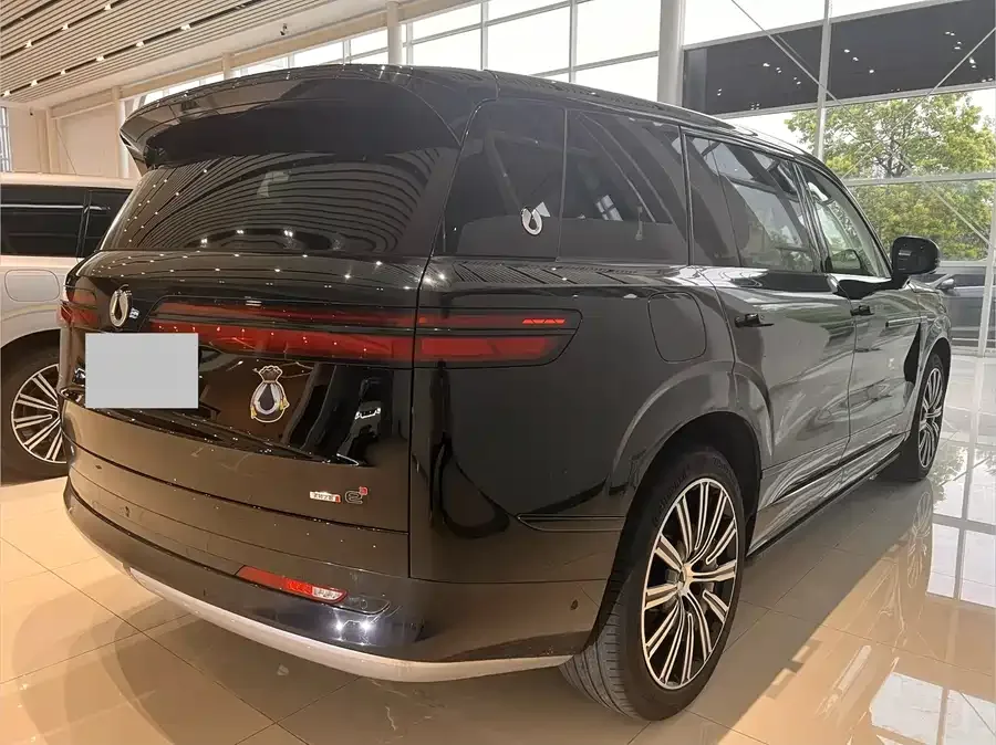 BYD N9 Denza N9 2025 Premium Edition 2025 — миниатюра 3