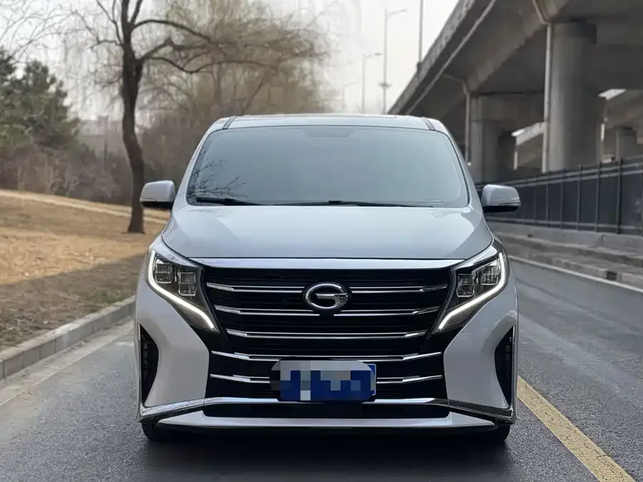 GAC Trumpchi M8 Trumpchi M8 2024 Lingxiu Series 390T Luxury Edition 2024 — фото 1, купить с доставкой в Москву