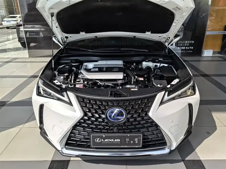 Lexus UX 2022 260h Exploration Cool Edition 2023 — миниатюра 5
