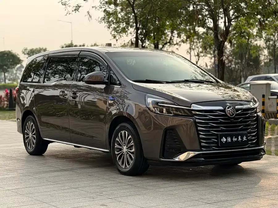Buick GL8 2023 Land Business Class Smart Edition 2023 — миниатюра 3