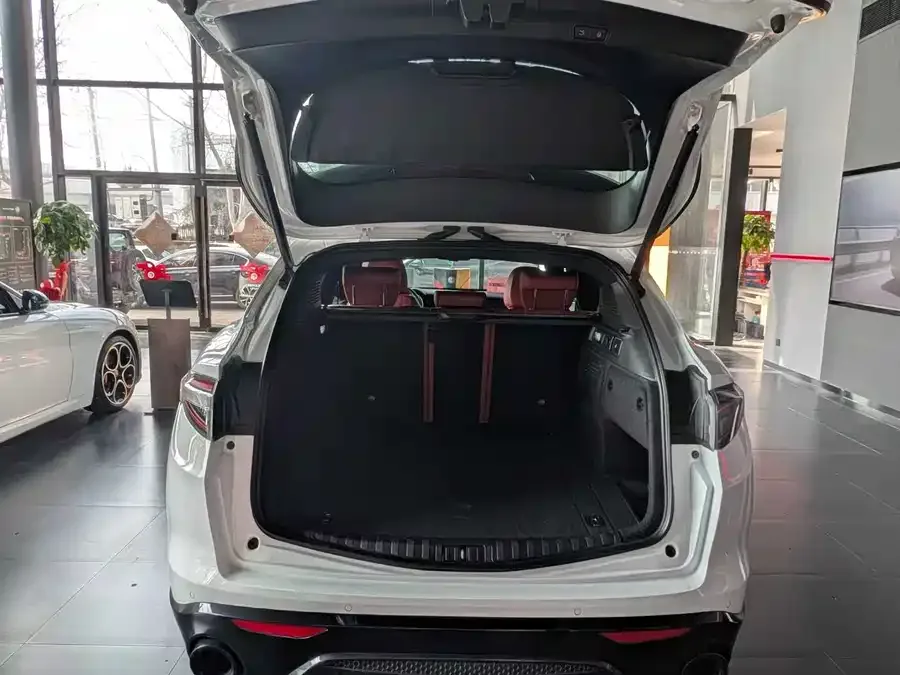 Alfa Romeo Stelvio Stelvio 2023 2.0T 280HP Veloce Track Edition 2024 — миниатюра 3