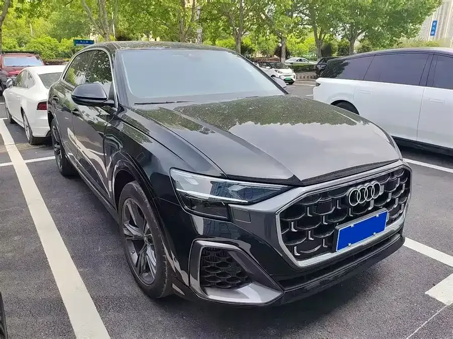 Audi Q8 2024 55 TFSI Luxury Dynamic Edition 2025 — миниатюра 3