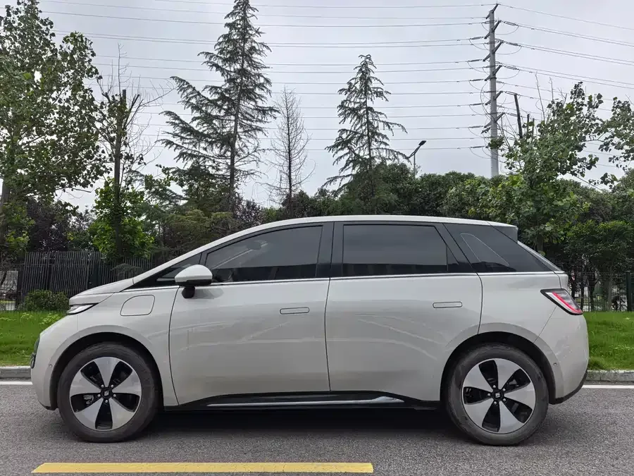 Baojun clouds Baojun Yunduo 2023 460 Max 2024 — миниатюра 3