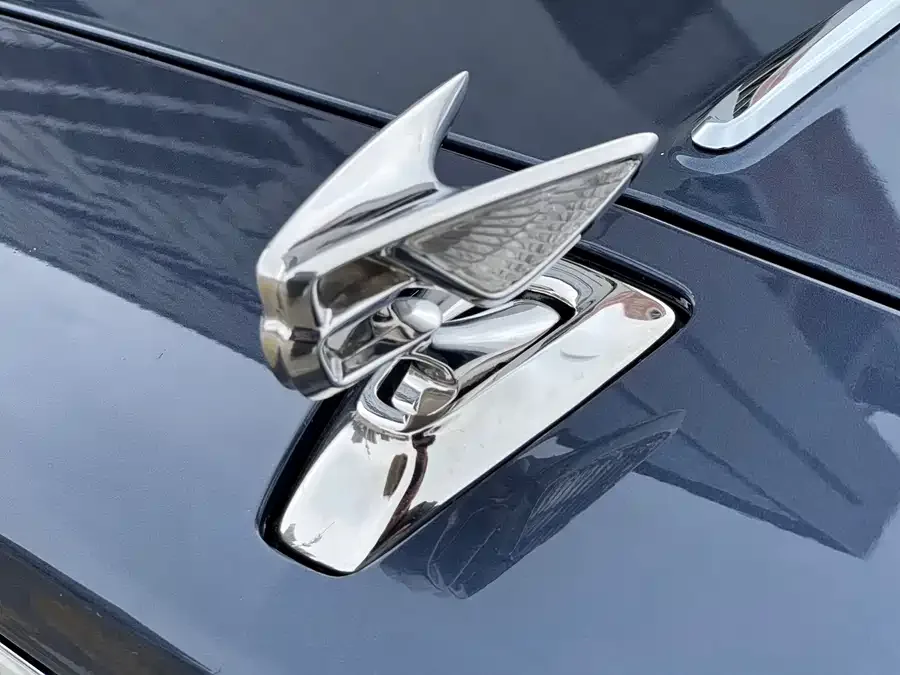 Bentley Flying Spur PHEV Mercedes-Benz Plug-in Hybrid 2022 2.9T V6 Hybrid 2022 — миниатюра 5