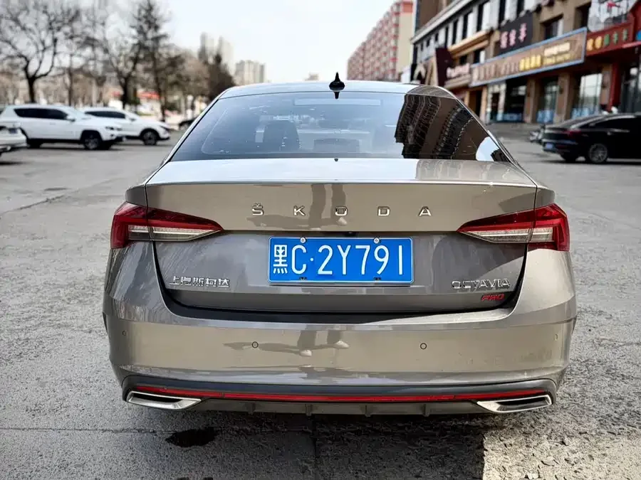 Skoda Octavia Octavia 2022 PRO TSI280 Luxury Edition 2022 — миниатюра 2