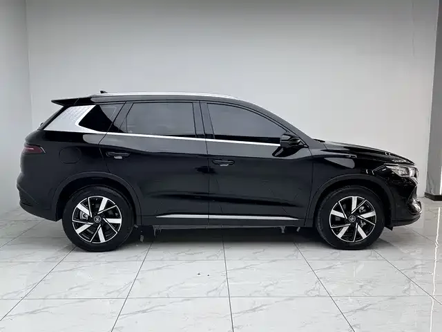BYD Song Pro New Energy Song Pro New Energy 2024 Honor Edition DM-i 71KM Pilot Edition 2024 — миниатюра 2