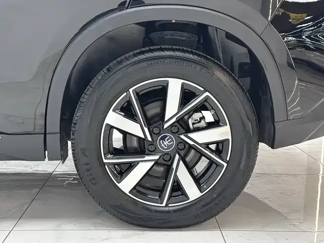 BYD Song Pro New Energy Song Pro New Energy 2024 Honor Edition DM-i 71KM Pilot Edition 2024 — миниатюра 5