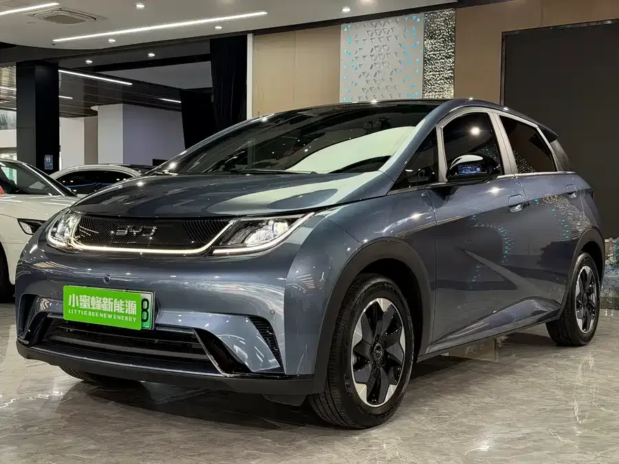 BYD Dolphin Dolphin 2025 420KM Fashion Edition 2025 — фото 1, купить с доставкой в Москву
