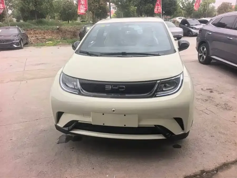 BYD Dolphin Dolphin 2025 420KM Vitality Edition 2026 — фото 1, купить с доставкой в Москву