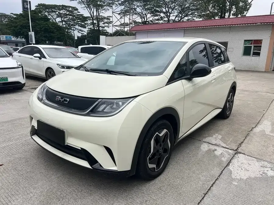 BYD Dolphin Dolphin 2025 420KM Vitality Edition 2025 — фото 1, купить с доставкой в Москву