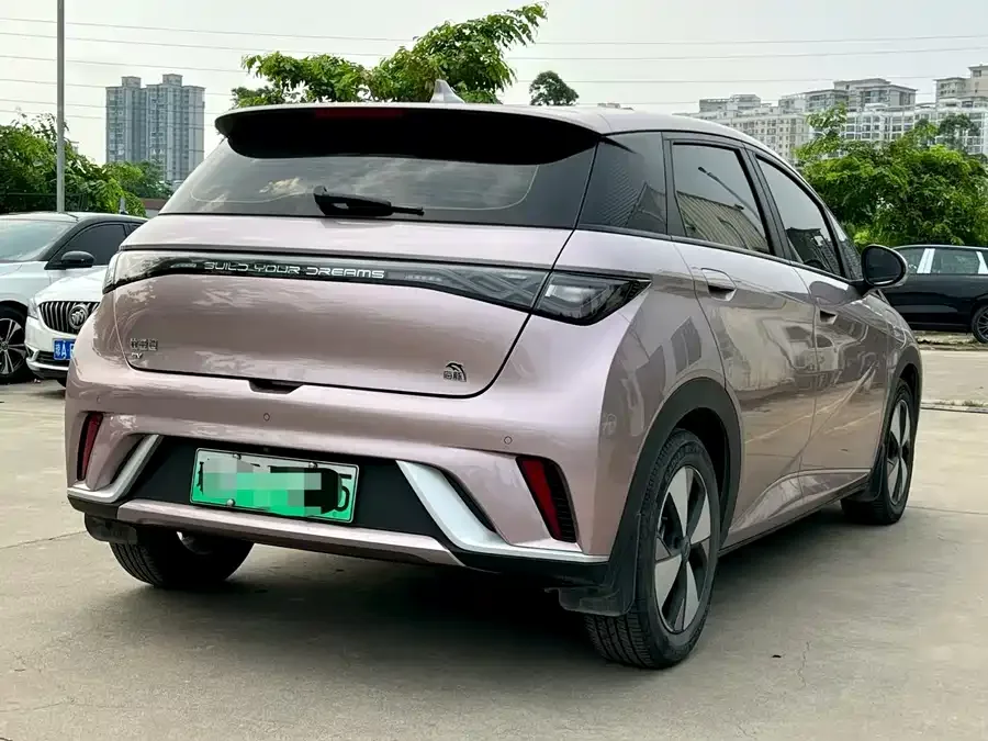 BYD Dolphin Dolphin 2023 420km Freedom Edition 2023 — миниатюра 3