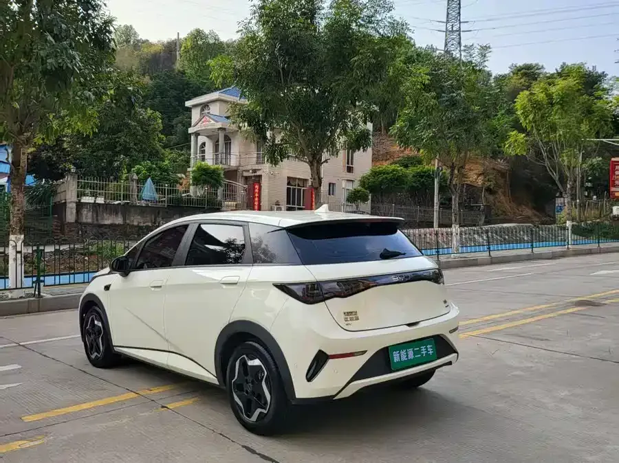BYD Dolphin Dolphin 2025 Smart Driving Edition 420km Free Edition 2025 — миниатюра 3
