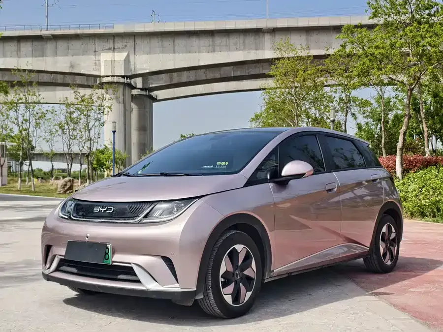 BYD Dolphin Dolphin 2025 420KM Fashion Edition 2025 — фото 1, купить с доставкой в Москву