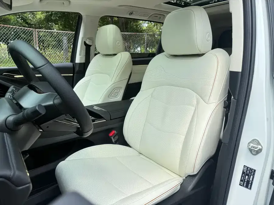 GAC Trumpchi E9 Trumpchi E9 2023 E9 Champion Edition 2024 — миниатюра 5